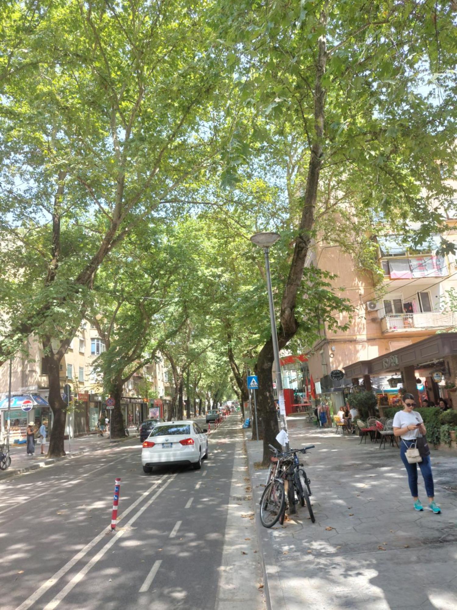 Myslym Shyri Lovely Top Apartment Tirana Extérieur photo